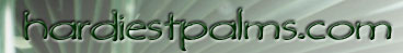 hardiestpalms.com hardiestpalms.com